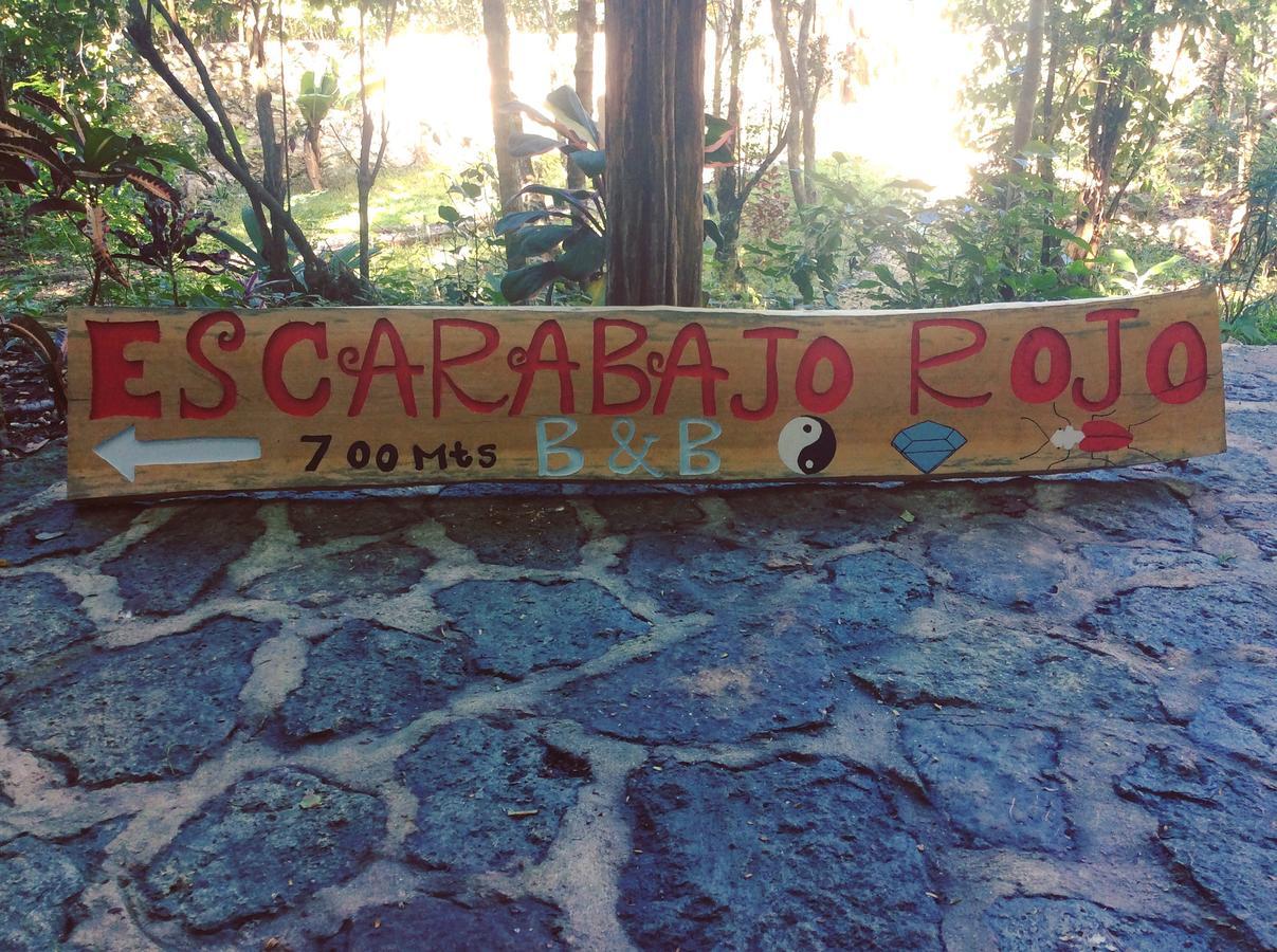Escarabajo Rojo Bed & Breakfast Tulum Eksteriør bilde