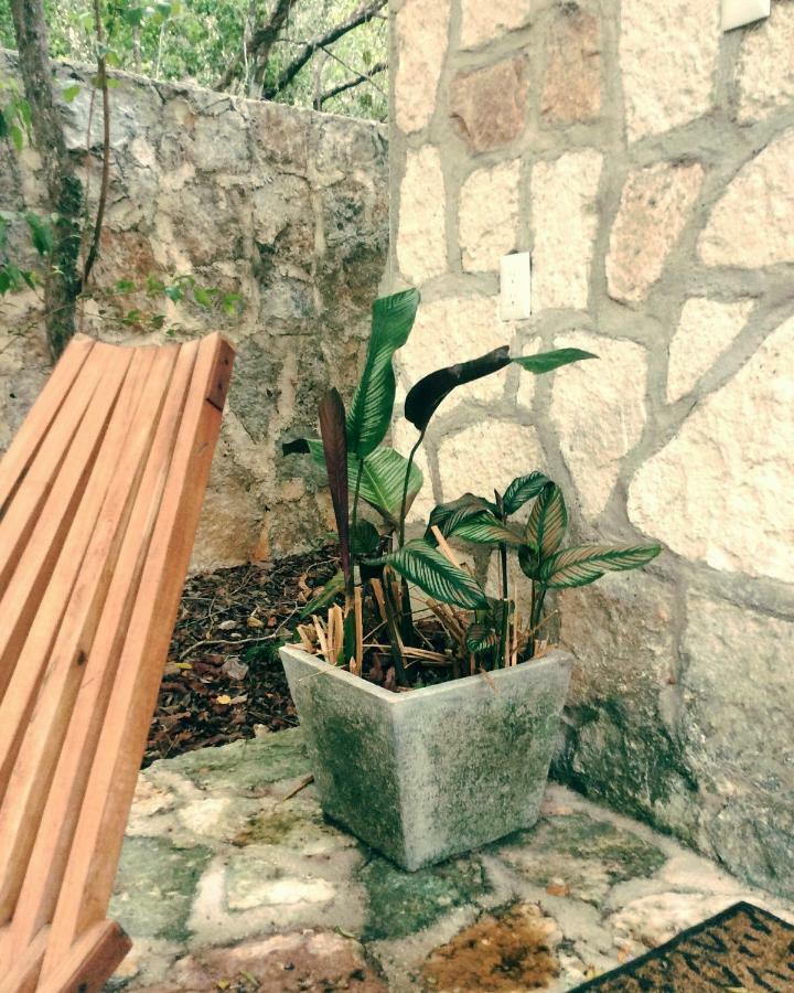 Escarabajo Rojo Bed & Breakfast Tulum Eksteriør bilde
